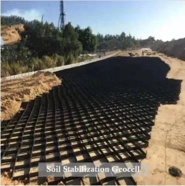 HDPE 검은 뚫린 구조의 기울기 안정형 지오셀 지오셀 토목공학용 3