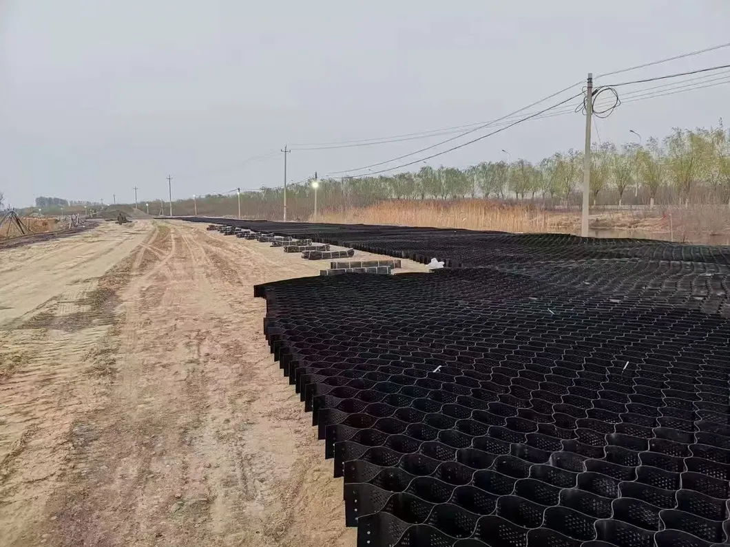 높은 꿀집 검은 HDPE 지질세포 강화 차고 도로 자갈 안정기 격자 지탱벽 둑 0