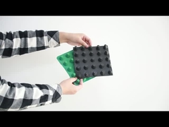 보조개 배수 이사회