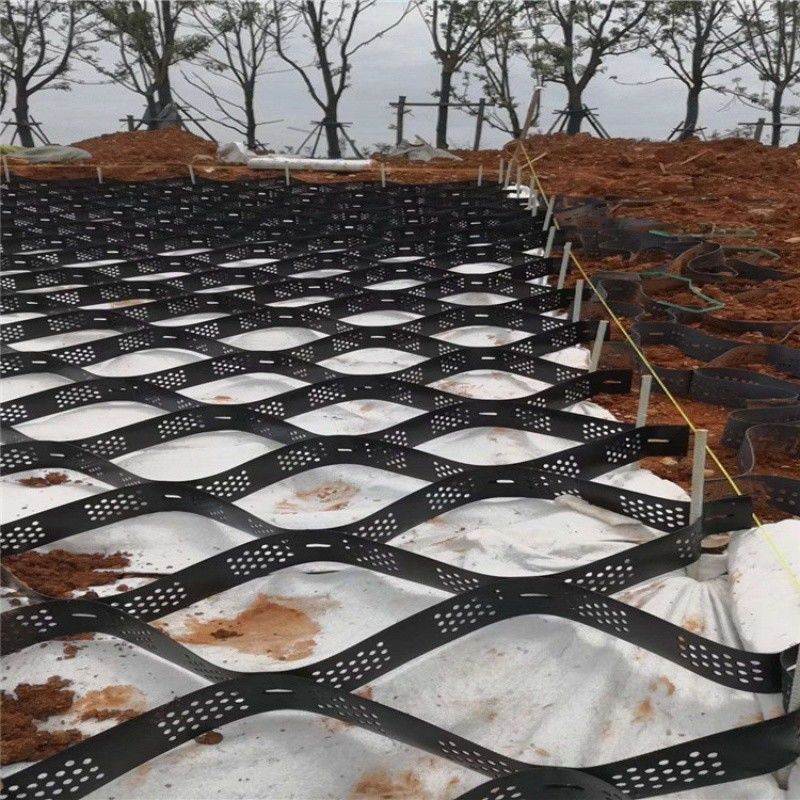 블랙 그레이브 안정기 격자 땅 HDPE 지오셀 공장 차고지 벽을 위한 그레이브 안정기