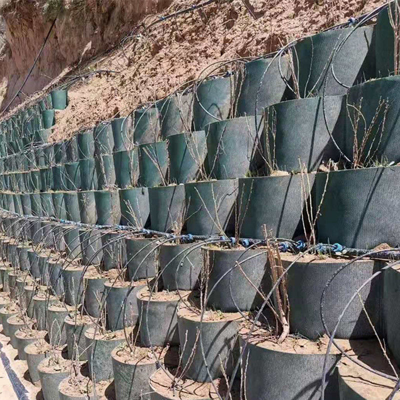 질감 높은 세포 격리 시스템 꿀집 HDPE 지오 셀 도로 기초 경사 보호 주차장 차고 도로 유지 벽