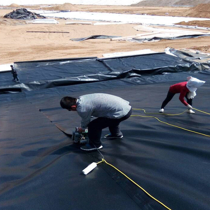 맞춤형 HDPE LDPE LLDPE PVC 지오 엠브란스 물고기 및 새우 연못 및 강화 된 폴리에틸렌 연못 연못