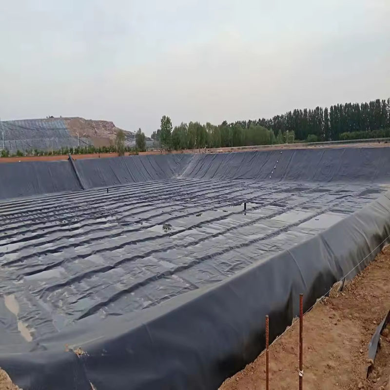 맞춤형 HDPE LDPE LLDPE PVC 지오 엠브란스 물고기 및 새우 연못 및 강화 된 폴리에틸렌 연못 연못