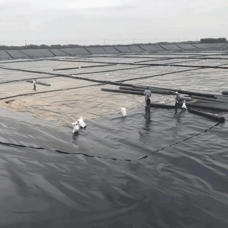고품질의 검은색 HDPE 지오 멘브라인 호수 라인어 0.5mm~2.0mm 어류 재배, 수산물 배, 물 저장 저장장 및 덤 배 방수