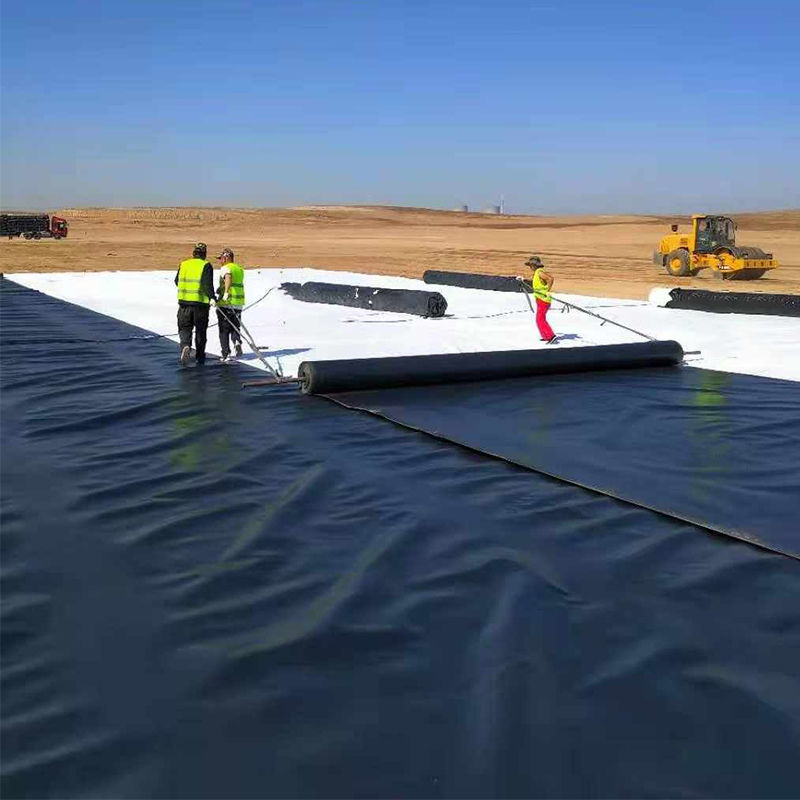 HDPE Geomembrane Pond liner for Landfill Aquaculture Mines Artificial Lake Shrimp Fishing Farm Dam Liner