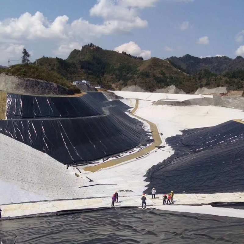 High Density HDPE Geomembrane Liner Sheet Waterproofing Membrane for Fish and Shrimp Aquaculture