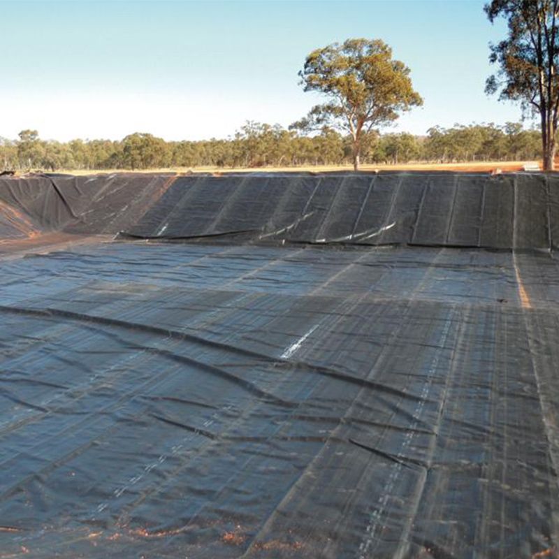 하드 블랙 라이너 HDPE 방수 연못 라이너 지오멤브레인 폴리에틸렌 공장 가격 판매