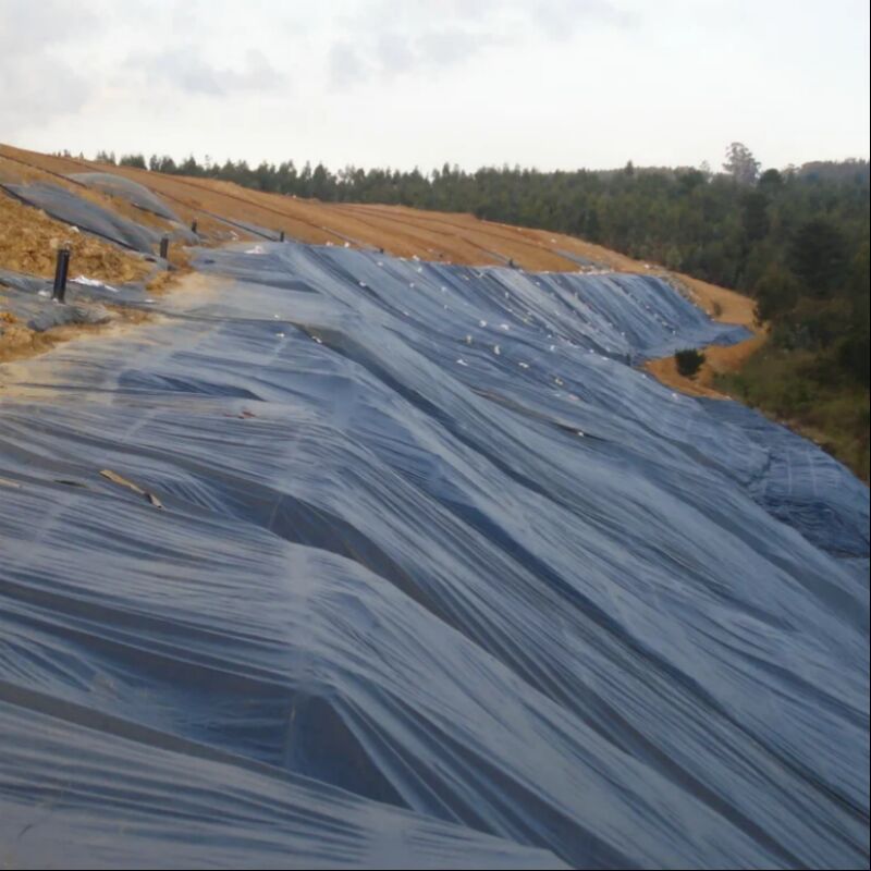 방수 부드러운 표면 농업 연못 배열 수산 새우 재배 인공 호수 쓰레기 매립지 HDPE 지오 멘브라인